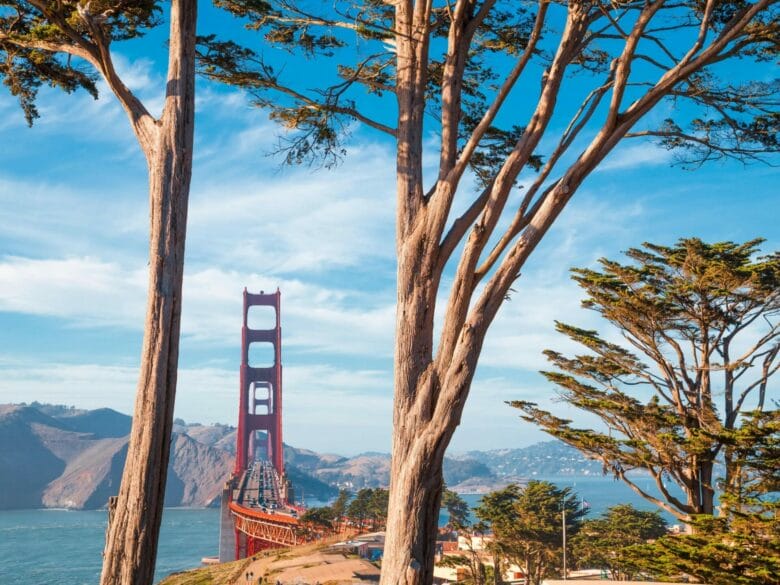 Vista del puente Golden Gate desde Golden Gate Overlook, en el Presidio de San Francisco, enmarcado entre cipreses.