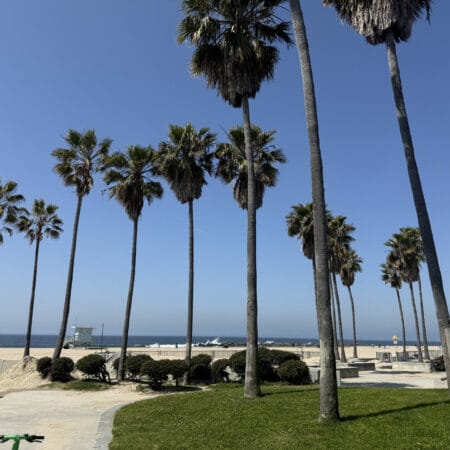 Plage de Venice Beach avec palmiers, sable blanc et cabane de sauveteur face à l’océan Pacifique