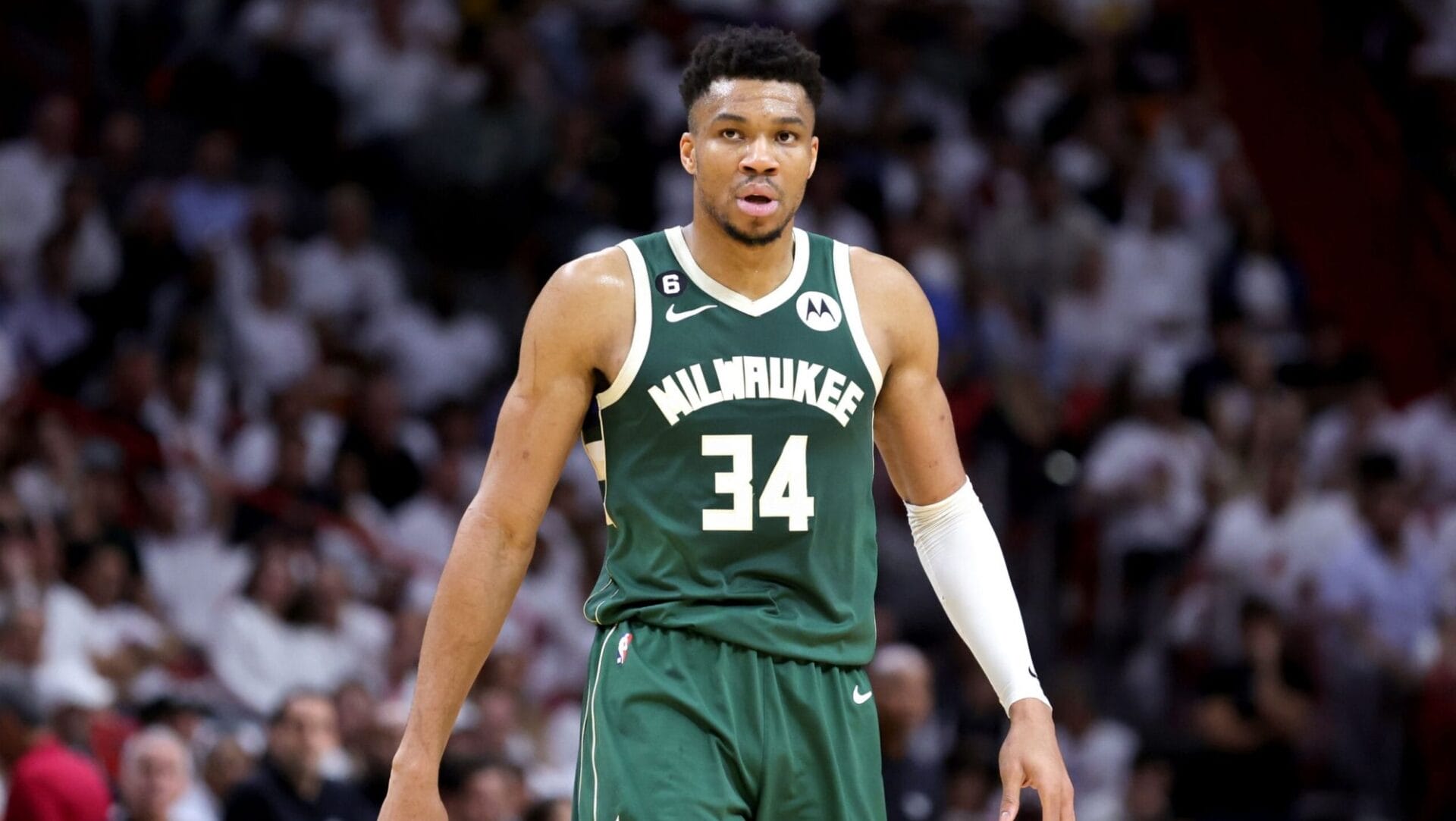 Viaje NBA Chicago Bulls y Milwaukee Bucks con Giannis Antetokounmpo
