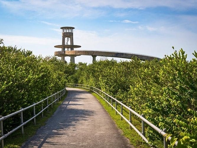 Sendero que conduce a la torre de observaci&oacute;n de Shark Valley en Everglades National Park, uno de los mejores miradores para contemplar los humedales de Florida.