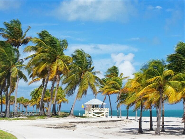 Palmeras y playa de Crandon Park en Key Biscayne, uno de los mejores lugares para disfrutar de una excursión de un día desde Miami.